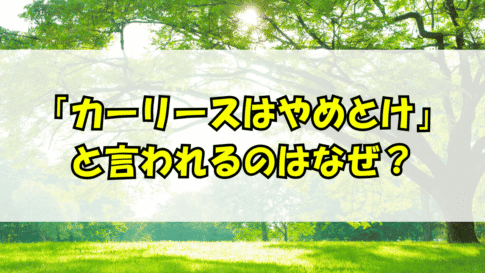 タイトル：カーリースはやめとけと言われるのはなぜ？